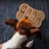 Relaxdays Intelligenzspielzeug für Hunde, Leckerli Produktbild-Vorschau 3