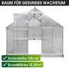 BRAST Gewächshaus Aluminium mit Fundament | 490x250x205cm | Produktbild-Vorschau 9