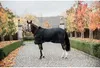 Kentucky Horsewear Stable Rug Stalldecke mit künstlichem Produktbild-Vorschau 6