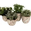 Clayre & Eef Kvetináč Ø 18x17 cm Béžová Ružová Keramické Náhľad obrázku produktu 4