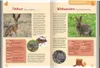 Mein großer Naturführer Tiere & Pflanzen Anteprima dell’immagine prodotto 3