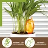 Scheurich Wasserspender Bördy M | 4 x Orange | 220ml Produktbild-Vorschau 3
