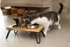 Designed by Lotte Linga - Dinerset Katze - Holz/Metall - Produktbild-Vorschau 7