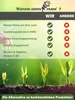 GreenPanda Schafwollpellets Dünger - 4kg Organischer Produktbild-Vorschau 8