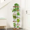 A tall, multi-tiered plant stand filled with various green plants is placed next to a white cabinet and a doorway in a well-lit room. Podgląd zdjęcia produktu