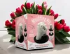 DIY Hand-Abdruckset - Gipsguss-Set für die Hände mit Produktbild-Vorschau 8