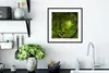 MuchoWow® Gerahmtes Poster Dschungel - Grün - Natur - Produktbild-Vorschau 4