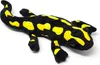 A plush toy salamander with black and yellow markings lies on a white background. Voir les images du produit