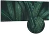 DEQORI Hybrid Leinwand Bild 125x50 cm 'Tropisches Flüstern' Produktbild-Vorschau 1