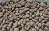 A close-up, overhead view of a pile of expanded clay aggregate (LECA) pebbles. Produktbild-Vorschau