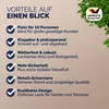 CASARIA® Bierzeltgarnitur 220cm Modell 2026 10 Personen Produktbild-Vorschau 8