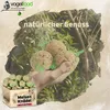 A hand holding bird food balls with a box of bird food in the foreground and a natural background. Produktbild-Vorschau