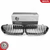 ESEN SKV 66SKV182 Kühlergrill Frontgrill für BMW 5 Touring Produktbild-Vorschau 1