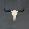 A bull skull with black horns mounted on a textured gray wall. Podgląd zdjęcia produktu