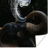 MuchoWow® Poster Elefant spuckt Wasser 75x75 cm - Wand Produktbild-Vorschau 1