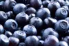 Heidelbeeren Dünger Aus Wurmhumus Flüssig Beerendünger Produktbild-Vorschau 4