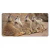 MuchoWow® Mauspad Mousepad Erdmännchen - Felsen - Natur Produktbild-Vorschau 1