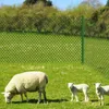 Maschendrahtzaun PVC-Beschichtung Grün Höhe: 2 Meter Länge: Produktbild-Vorschau 6