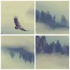 Bilder auf glas - Vogel Natur Wald - 50x50cm - Glasbilder - Produktbild-Vorschau 8