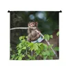 MuchoWow® Wandteppich Wandbehang Baby - Affe - Äste 120x120 Produktbild-Vorschau 1