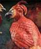 Figurka Fawkes, Feniks Dumbledore’a 35 cm - Harry Potter, Voir les images du produit 3