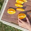 Qunature Camping Box Faltbar Campingbox Organizer Produktbild-Vorschau 6