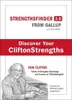 Strengthsfinder 2.0 Anteprima dell’immagine prodotto 4