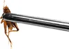 Terrario ViperTweez Simple M - pęseta prosta 25cm Terrario Podgląd zdjęcia produktu 10