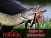 Paradox Fishing Firetiger Hecht Kombo Spinnrute 2,40m Produktbild-Vorschau 9