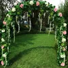 Arco di rose, arco a volta, arco rampicante, traliccio per Anteprima dell’immagine prodotto 16