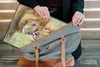 MuchoWow® Laptop Hülle 15 Zoll Löwen - Gras - Tiere Produktbild-Vorschau 7