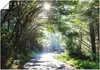 ARTland Poster Sonniger Wald Größe: 70x50 cm Produktbild-Vorschau 1