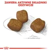 ROYAL CANIN Mini Dental Care Trockenfutter für Hunde Produktbild-Vorschau 5