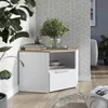 Lowboard Vicco Wido Biały 68 x 50 cm, Model 58466 Podgląd zdjęcia produktu 3