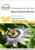SAFLAX  - Passiflore bleue - 25 graines - Passiflora Voir les images du produit 7