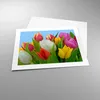 Poster - Poster ohne Rahmen - Tulpen Blumenstrauß Blumen Produktbild-Vorschau 3