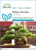 SAFLAX  - Mélèze d'Europe - 75 graines - Larix Voir les images du produit 1