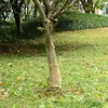 vidaXL Jutegewebe 0,25x25 m 100% Jute 200 g/m² Produktbild-Vorschau 2