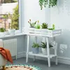 A white wooden plant stand with several potted plants on it, placed near a window with a radiator and a chair in the foreground. Produktbild-Vorschau