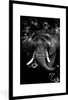 MuchoWow® Gerahmtes Poster Elefant mit Rauch gegen Produktbild-Vorschau 1