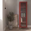 Vetrinetta Libreria a 4 ripiani Vetrinetta in metallo rosso Anteprima dell’immagine prodotto 1