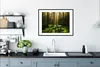 MuchoWow® Gerahmtes Poster Bäume - Wald - Moos - Pflanzen - Produktbild-Vorschau 4