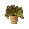 Kvetináč ELHO Green Basics Ø13x12 cm - jemná hlinená Náhľad obrázku produktu 6