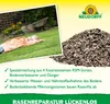 Neudorff Rasenreparatur LückenLos 2,5 kg für 32 Lücken Produktbild-Vorschau 4