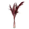 Clayre & Eef Trockenblumen 100 cm Rot Trockenblumen Produktbild-Vorschau 3