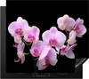 KitchenYeah© Herdabdeckplatte Orchidee - Blumen - Rosa - Produktbild-Vorschau 1