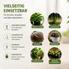 Blähton Tongranulat 4/16 mm 50 Liter für Hydrokultur und Produktbild-Vorschau 4