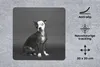 MuchoWow® Mauspad Mousepad Hund - Spot - Porträt 20x20 cm - Produktbild-Vorschau 2