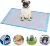 Verk 19308 Tréningové absorpčné podložky pre psov 60 x 60 Náhľad obrázku produktu 15