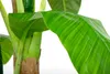 Bananenpalme 180 cm Künstlich wie echt Bananenbaum Produktbild-Vorschau 2